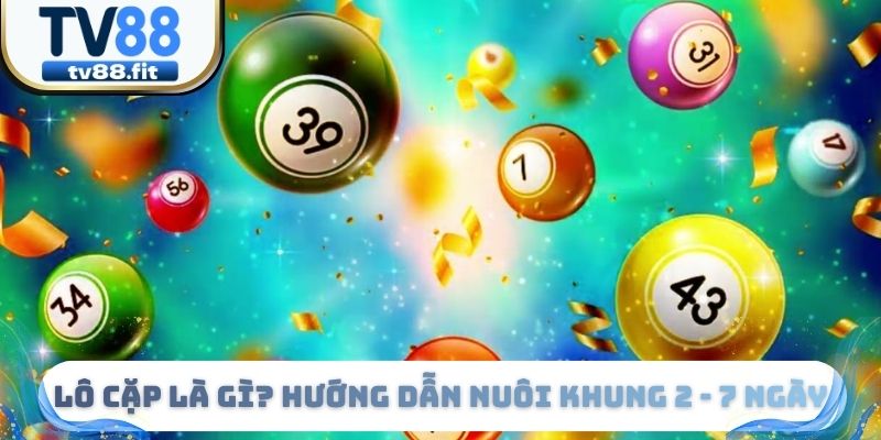 Lô Cặp Là Gì? Hướng Dẫn Nuôi Khung 2 - 7 Ngày Nhanh Về Bờ